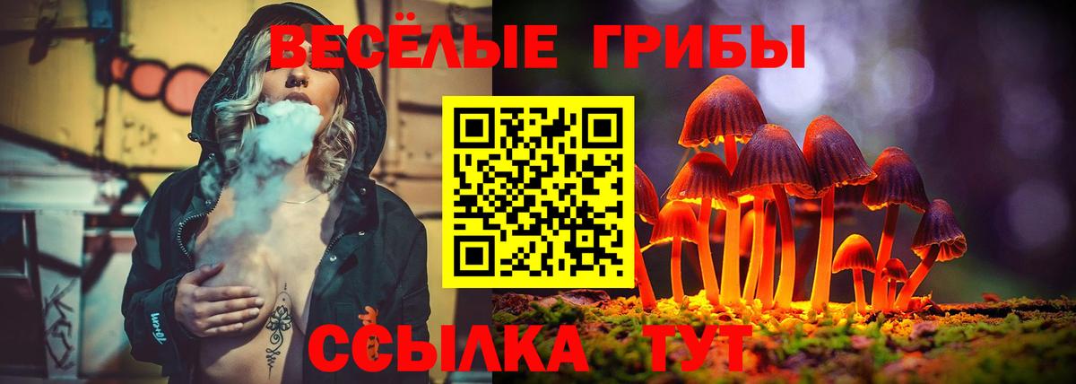 Псилоцибиновые грибы MAGIC MUSHROOMS  закладка  Сальск  Вход с VPN 